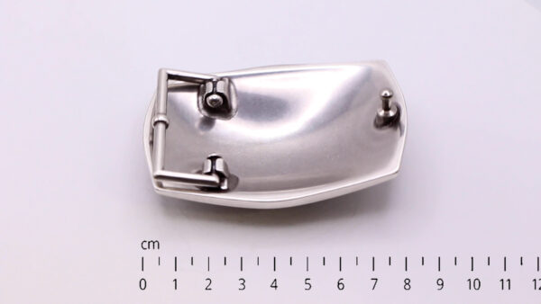 Buckle 1049 with CM ruler