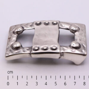 Buckle 1051 with CM ruler